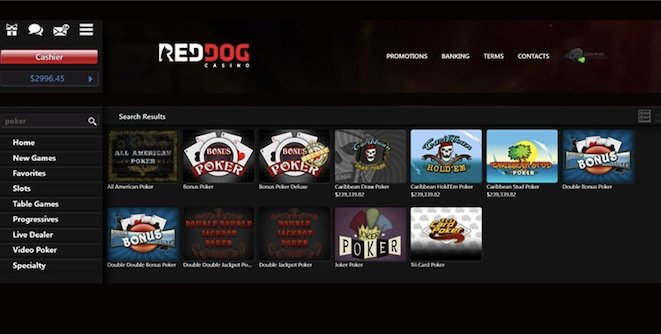 Red Dog - أفضل موقع لعب البوكر عبر الإنترنت